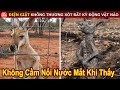 Vì Cứu Chủ Nhân Mà Con Vật Này Bị Điện Giật Một Cách Không Thương Tiếc || Top10HuyenBi