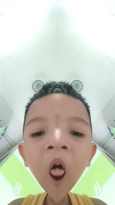 xjdj