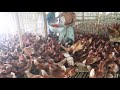 1000 layer hen farming eating time.