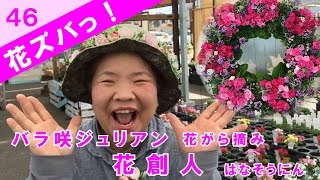 バラ咲きプリムラジュリアン花がら摘みのやり方 花ズバっ 46旬の花とその使いかた紹介 花創人ガーデニング教室 Youtube