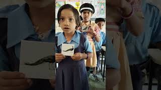 कावळा कार्ड वाचन सराव इयत्ता पहिली l shabdvachan school bacchetrendingshorts