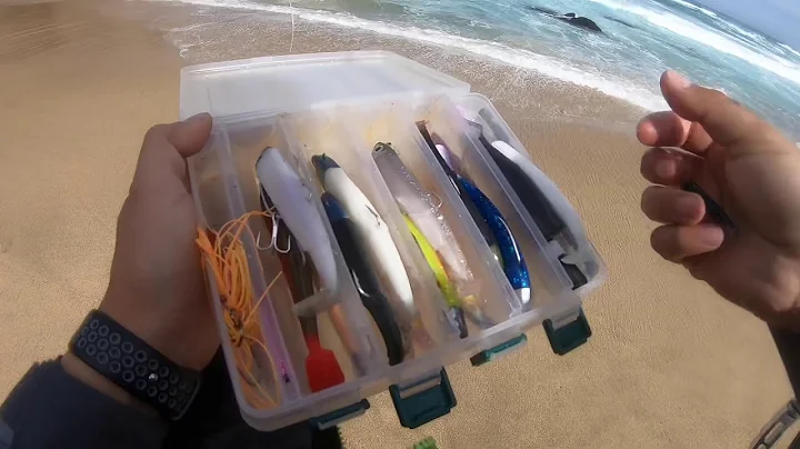 #35 Corvina lenguado robalo cavinzas FIIISH,  bait...