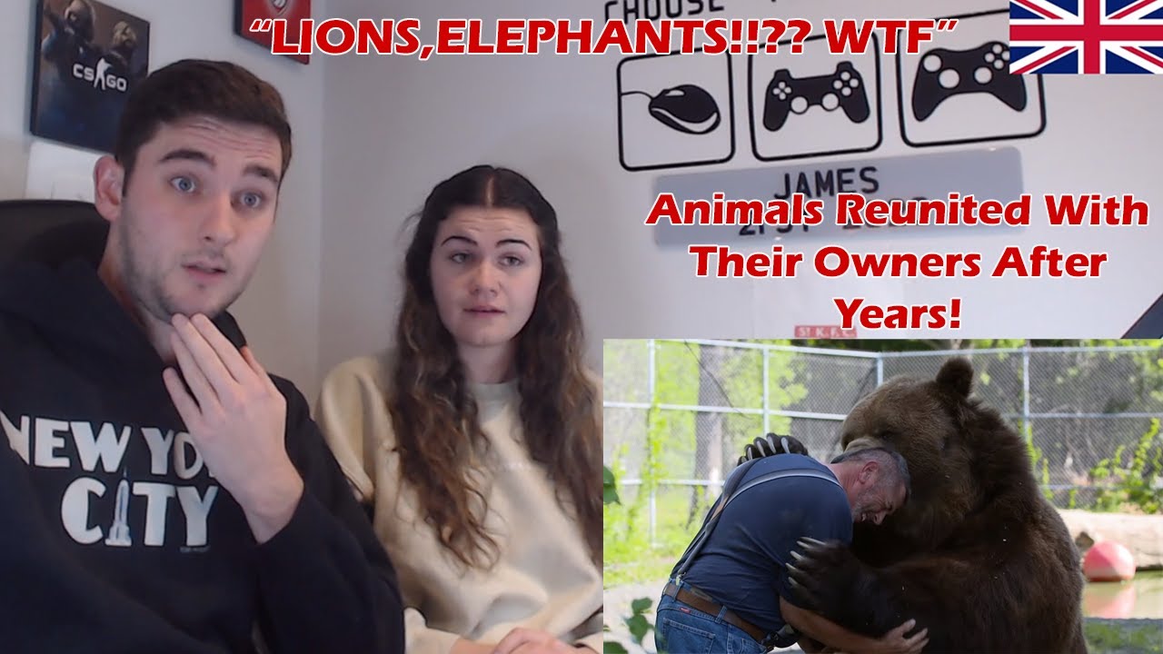 British Couple Reacts to Animals Reunited With Their Owners After Years!