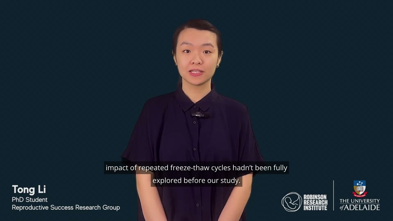 Tong Li - research pitch - freeze-thaw cycle in IVF