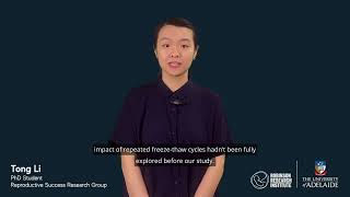 Tong Li - research pitch - freeze-thaw cycle in IVF