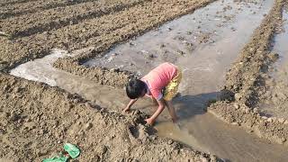 किसान का बेटा किसान हि बनेगा। farmer boy working in farm/erigesion in Crops