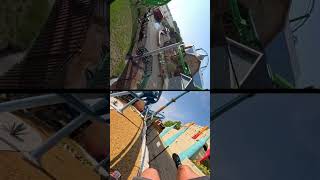 Which one is better?! Flying Fox Vs Phoenix Rising