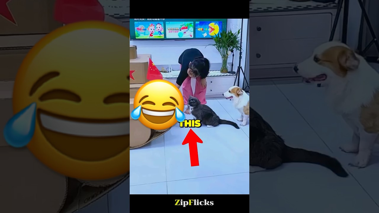 🚗 Girl, Dog & Cat Build a Cardboard Tank 😂 | Cutest Squad Ever! ❤️