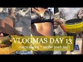 VLOGMAS DAY 13| BIRD TRIED TO STEAL MY LUNCH + THE STONE FOUND ME