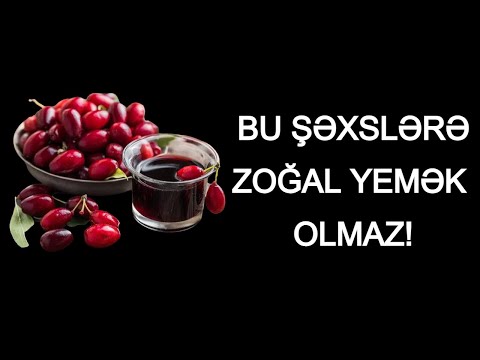 Bu Xəstəliklərin Dərmanı ZOĞALdır - Vaxtı Keçmədən Bol-Bol Yeyin