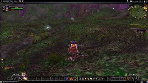 World of Warcraft running in Ubuntu 9.10 through Wine WOW