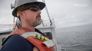 Meet MBARI: Autonomous robots help team reveal the secret lives of ocean predators Wealth