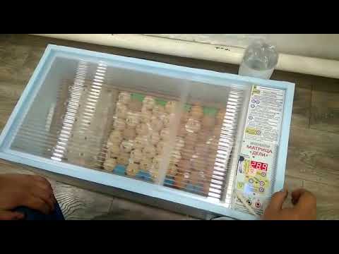 Матрица дели 72 Матрица дели 72