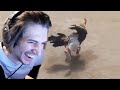xQc Reacts to memes fresher than this chicken
