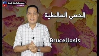 الحمى المالطية / Brucellosis