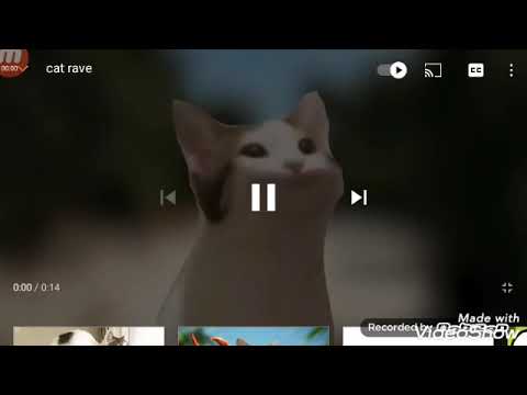 ამ კატას ვერ ვეშვებ.გამოიწერეთ არხი რომ მომდევნო ვიდეოები არ გამოტოვოთ