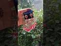 DIY earrings😍😨#mukku_handmade #diy #viral #craft #earrings #kundan #ytshorts #shorts #shortsvideo