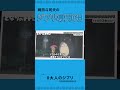 【トトロの七不思議】トトロ族は人間に大敗? トトロはメイを○○と勘違いしてる! サツキとトトロは互いに…。トトロの目線【となりのトトロ/岡田斗司夫/大人のジブリ】