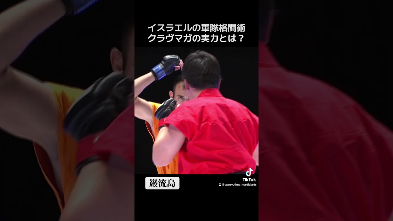 What is the power of Krav Maga, the military martial art