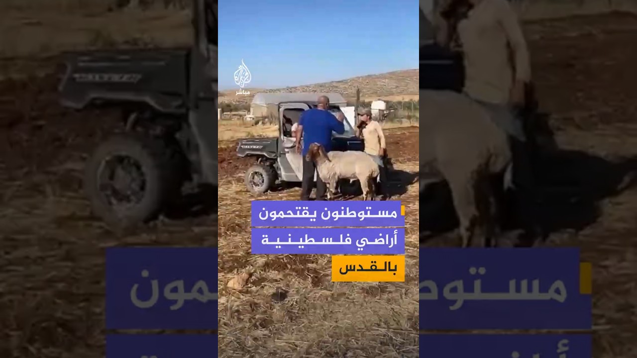 مستوطنون يقتحمون أراضي فلسطينية في رام الله