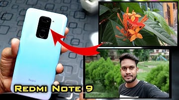 Redmi Note 9 Camera Features & Review |Pictures and video included|