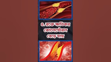 general knowledge || quiz | spinal cord part  95