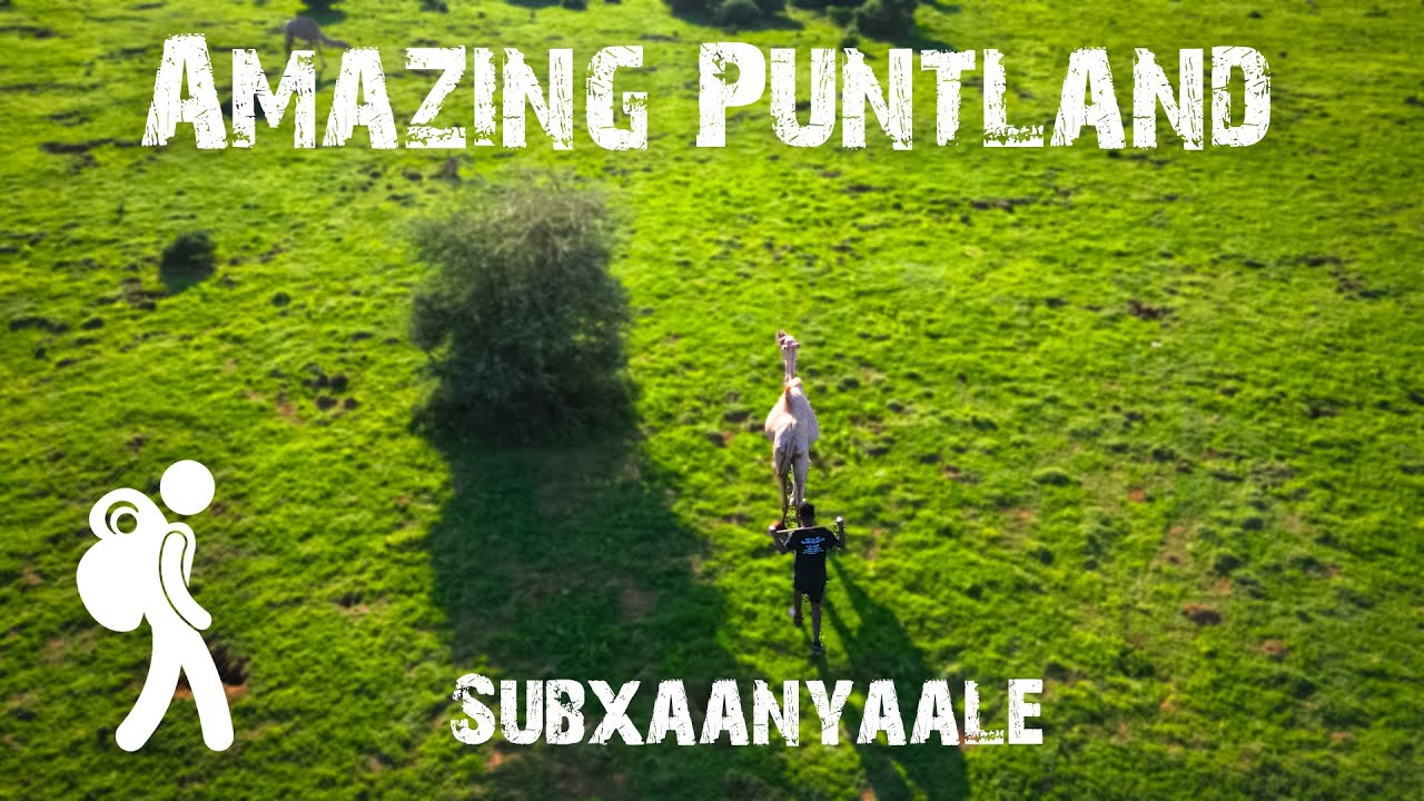 Exploring the Splendid Landscape of Puntland's Hawd Forest