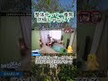 整体中にロメロスペシャルをかけても気付かない説!② #水曜日のダウンタウン #お笑い #shortvideo