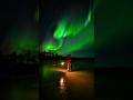 Um dos lugares mais incríveis da Finlândia. #finlandia #Oulanka #curiosidades #auroraboreal #trilha