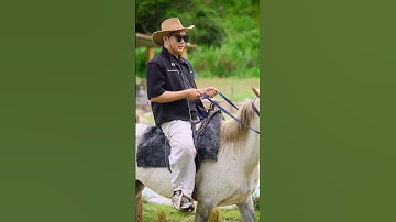 Quay video với Ngựa cho Nam Thanh Niên tại Dream Garden - Đà lạt