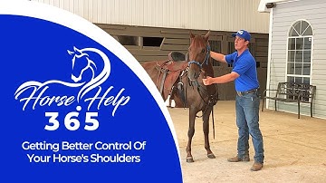Getting Better Control Of Your Horse