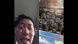 #duet with @iamahugedeal like low key kinda freaky Deaky racoons✨ #fieldtrip #class