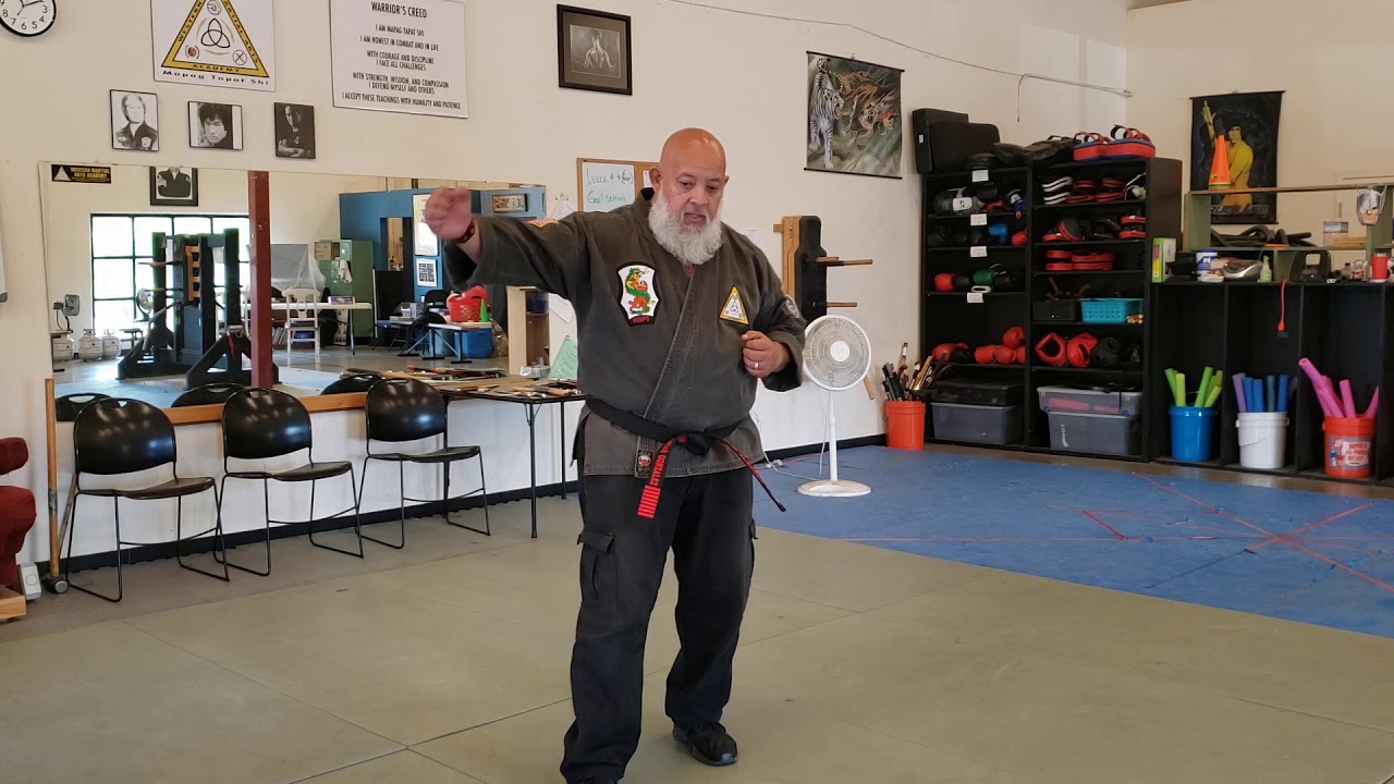WMAA Kenpo Self Defense- Sword of Destruction with Extensions - YouTube