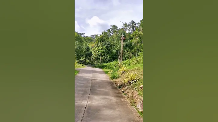 Road to Nature | Province Life | Don Cerilo TV