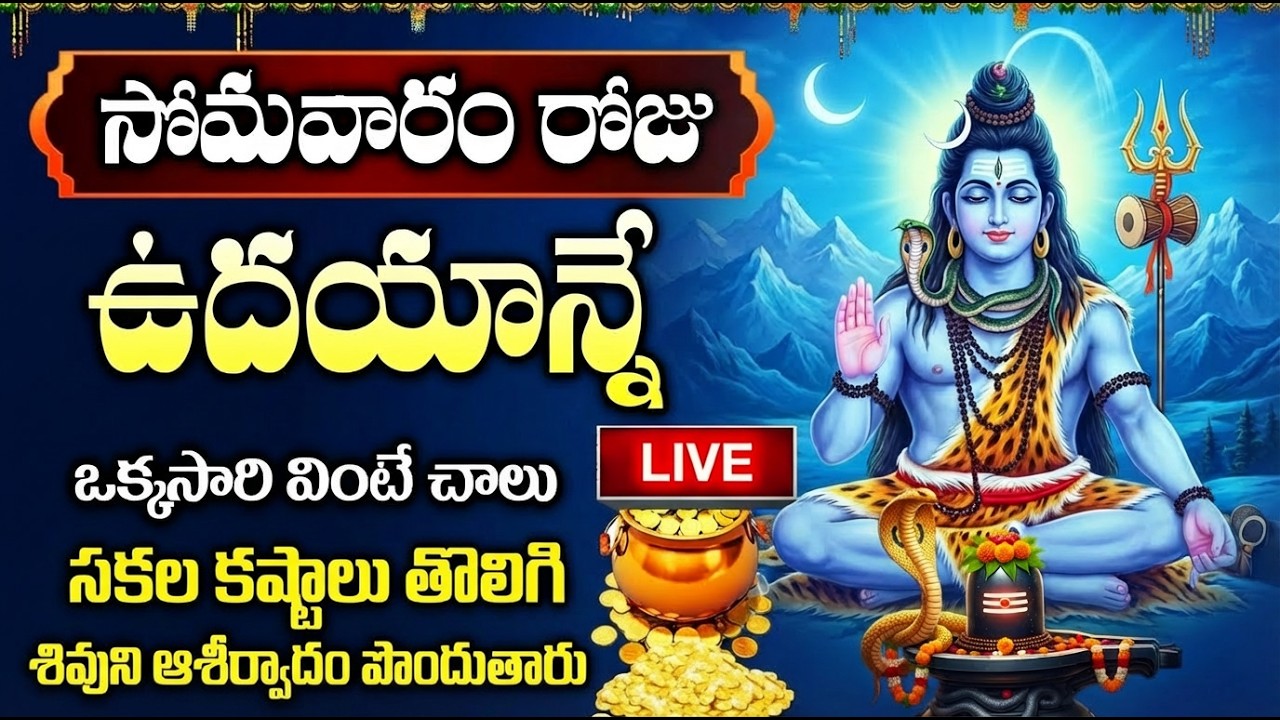 LIVE: ఈ పాటలు వింటే చాలు మీ కష్టాలు తొలిగి కోరిన కోరికలు నెరవేరతాయి | Shivayya Songs Telugu