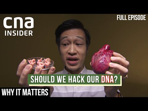 Video: Nyt Humant DNA