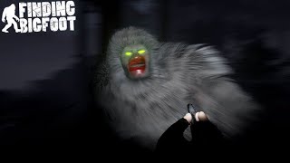 Finding Bigfoot