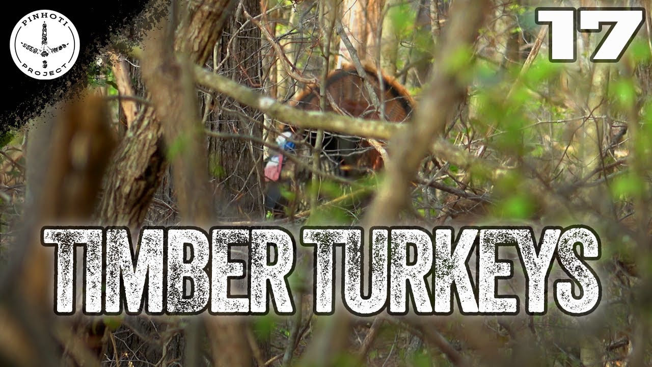 the PLACES (AND GOBBLING TURKEYS) THAT RENEW THE SOUL | FINDING LONGBEARDS THAT LISTEN- Pinhoti Ep17