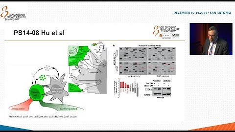 SABCS 2024: Brain Metastasis
