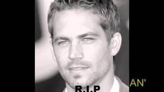 Fast & Furious actor Paul Walker died in a car crash