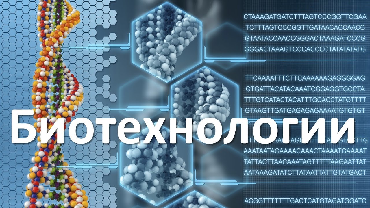 13. Биотехнологии  (9 или 10-11 класс) - биология, подготовка к ЕГЭ и ОГЭ 2018