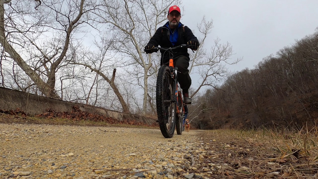 bikejoring A YouTube