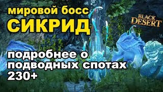 Морской данж AP 230-270 🐋 Мировой босс Сикрид за 70кк в Black Desert (MMORPG - ИГРЫ)