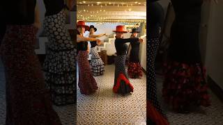 flamenco shorts dance flamengo