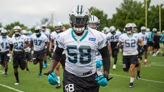 Panthers OTAs Day Two