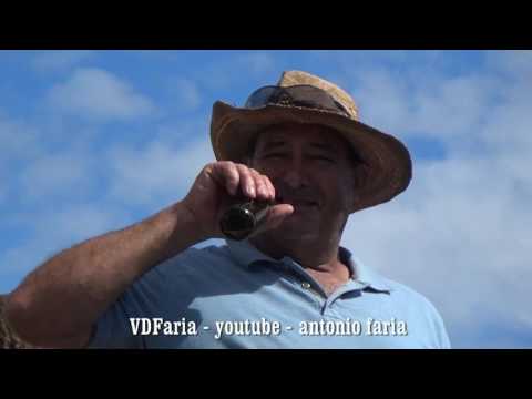 Tourada à corda na Rua de Baico R Seca no Festival Julho, 2016