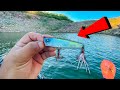 Pesca con POPPER || Ataques en SUPERFICIE