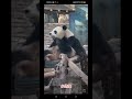 大熊猫 大熊猫萌宝 Panda 小奶宝 大熊猫 大熊猫萌宝 Panda 小奶宝
