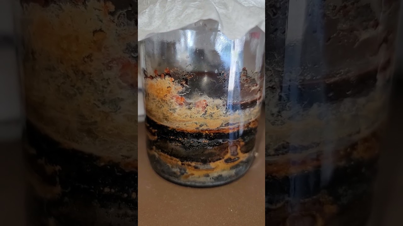 New Colors in my Alchemy Crystal Growing Experiment 