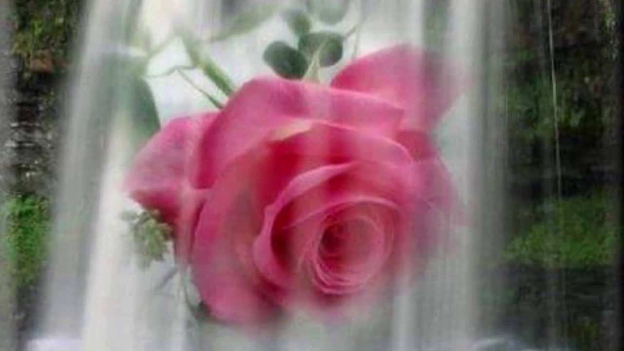 Delailin nur İhsan Atasoy